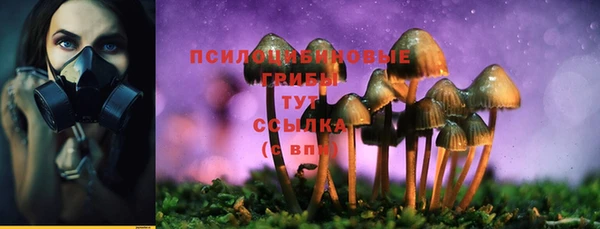apvp Балабаново