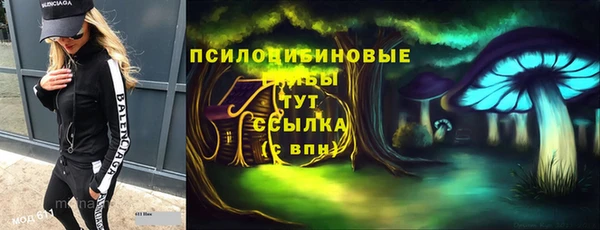 apvp Балабаново