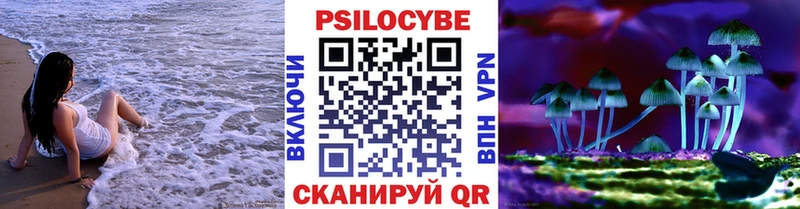 дарнет шоп  Горняк  Галлюциногенные грибы GOLDEN TEACHER 