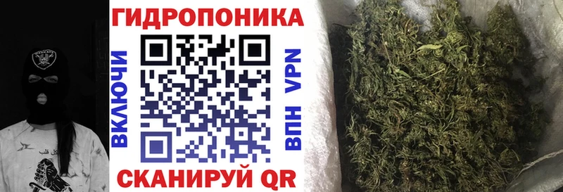 Бошки марихуана MAZAR наркотики мега ONION Горняк